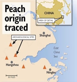 peach tree origin china map.jpg