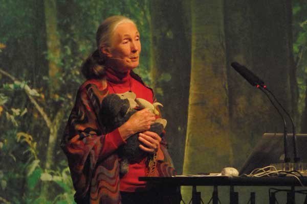 Jane-Goodall 600x400.jpg
